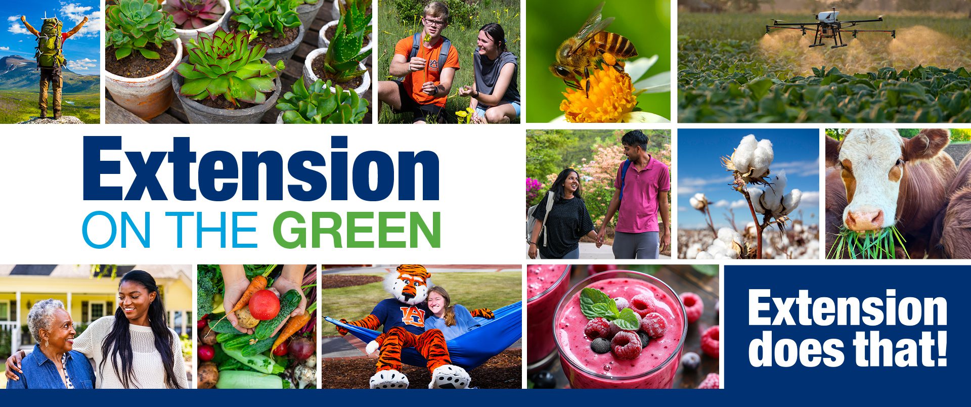 A collage of images related to Extension programs with the following words: Extension on the Green. Extension does that!