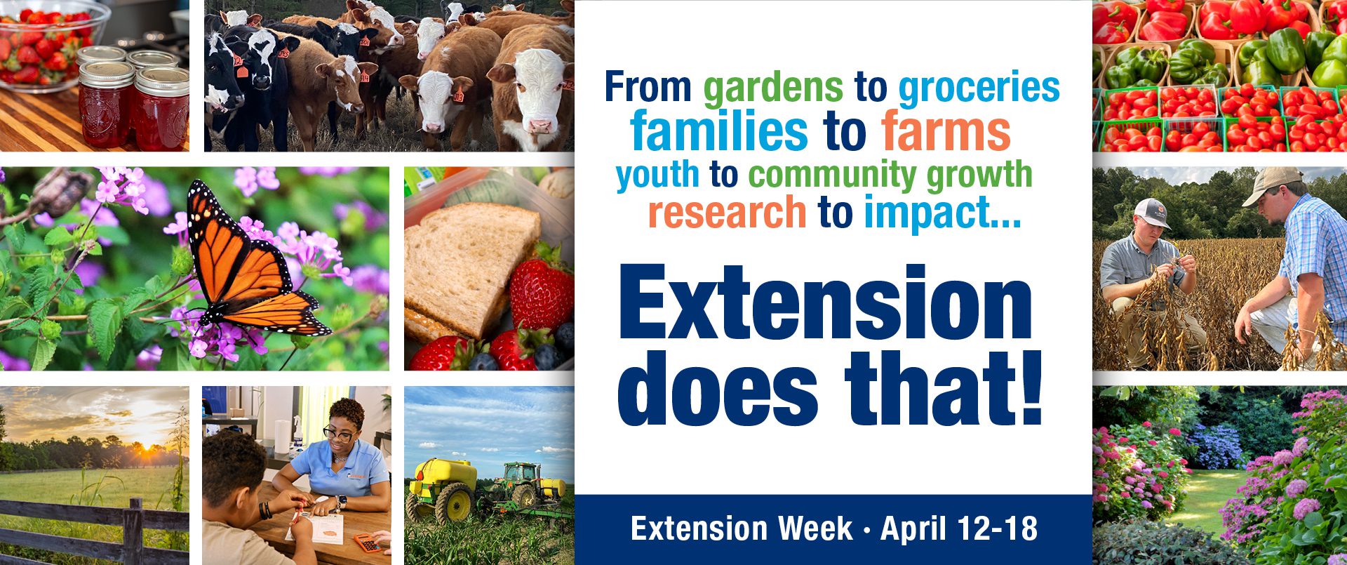 A collage of images related to Extension programs with the following words: From gardens to groceries families to farms, youth to community growth, research to impact...Extension does that! Extension Week April 12-18