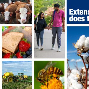 A collage of people, animals, plants, and other representations of Extension programming.