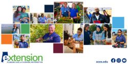 A collage of Alabama Extension employees from a range of program areas.