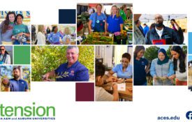 A collage of Alabama Extension employees from a range of program areas.