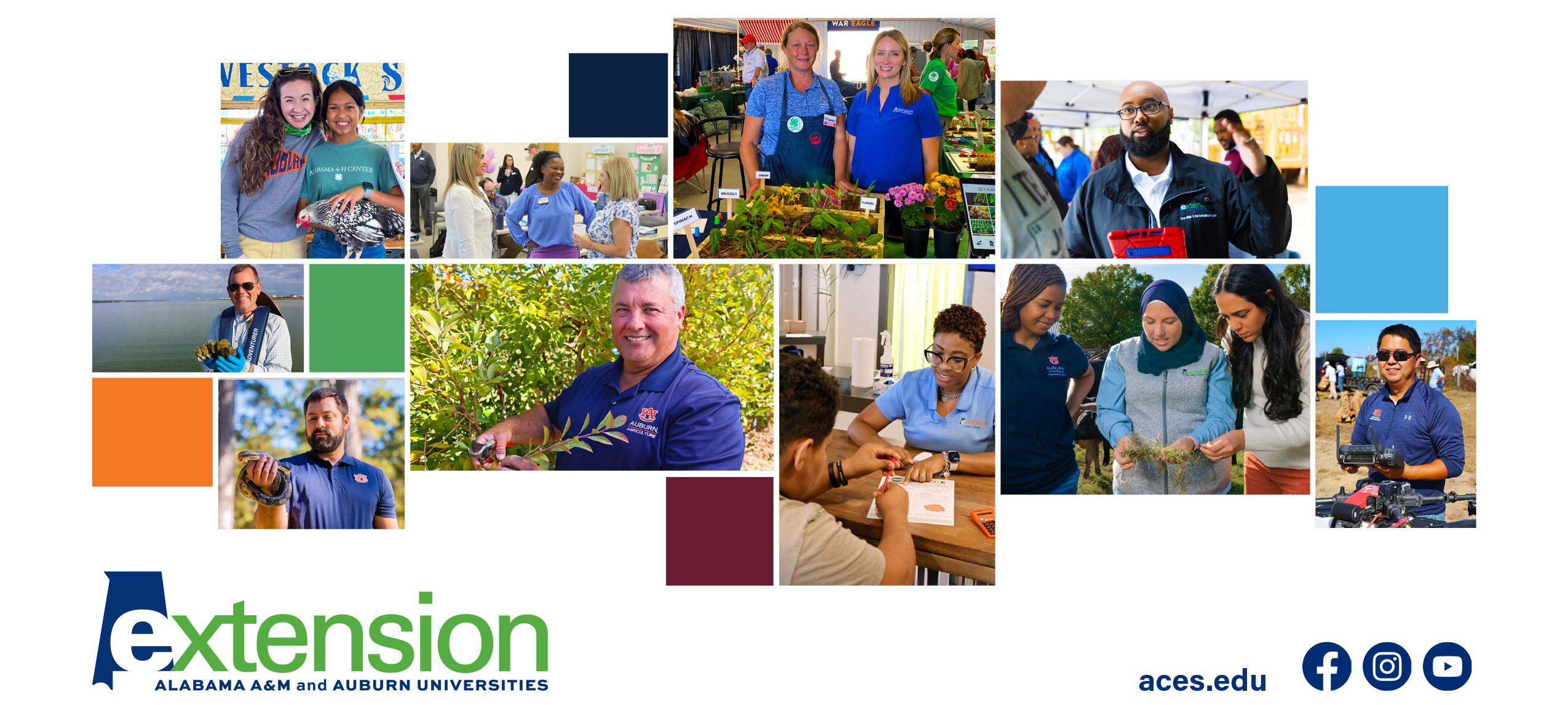 A collage of Alabama Extension employees from a range of program areas.