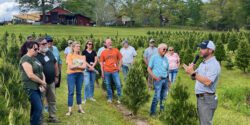 Figure 1. Jeremy Pickens speaks to a group of participants at a Christmas Tree Growers Workshop in central Alabama. Extension educator speaks to a group of adults standing in rows of young evergreen trees during an outdoor Christmas tree workshop on a farm.