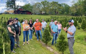 Figure 1. Jeremy Pickens speaks to a group of participants at a Christmas Tree Growers Workshop in central Alabama. Extension educator speaks to a group of adults standing in rows of young evergreen trees during an outdoor Christmas tree workshop on a farm.