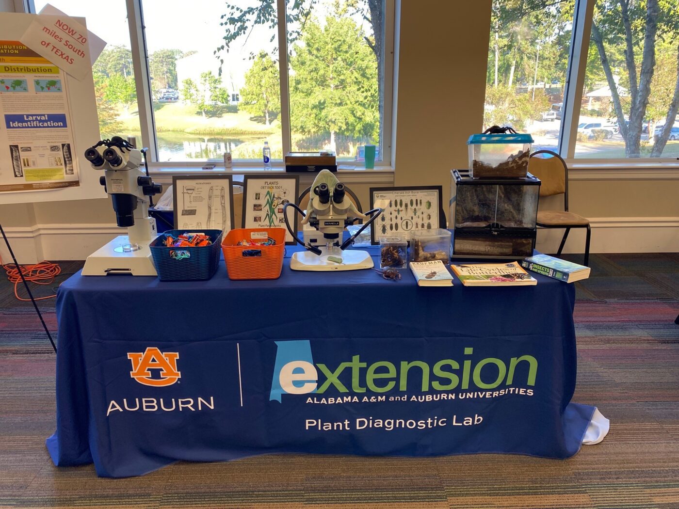 An educational display identifies some of the Auburn University Plant Diagnostics Laboratory services.