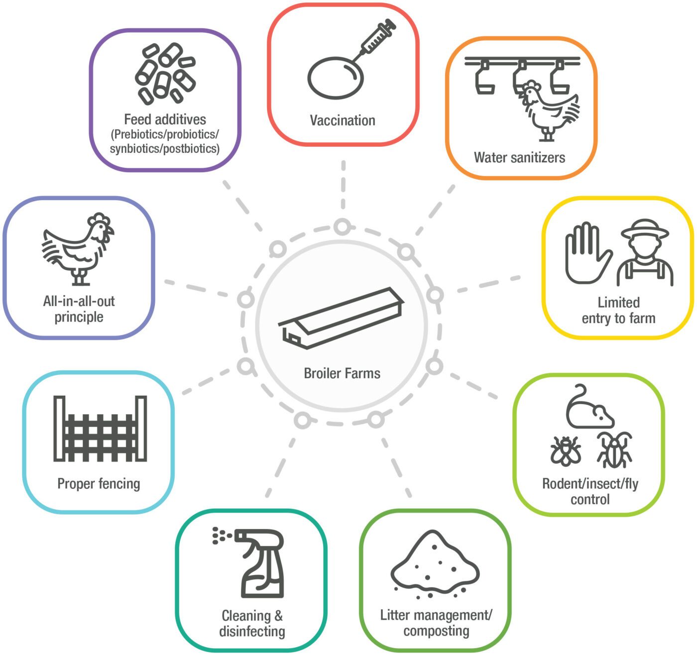 A diagram that shows intervention strategies against Salmonella on broiler farms. Strategies include vaccination; water sanitizers; limited entry to farm; rodent/insect/fly control; litter management/composting; cleaning and disinfecting; proper fencing; all-in-all-out principle; and feed additives (prebiotics/probiotics/synbiotics/postbiotics).