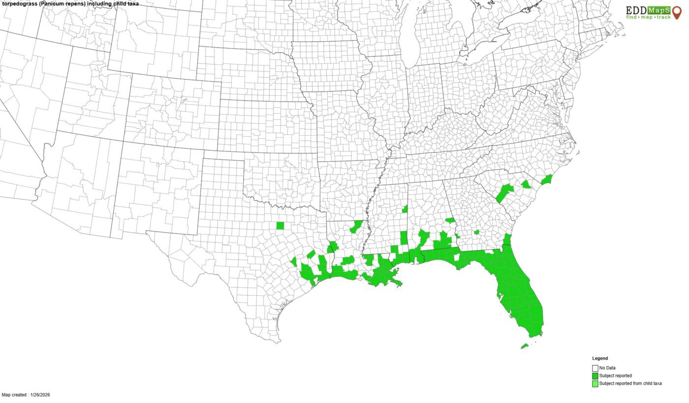 Figure 1. Southeastern range of torpedograss. (Image credit: EDDMapS)