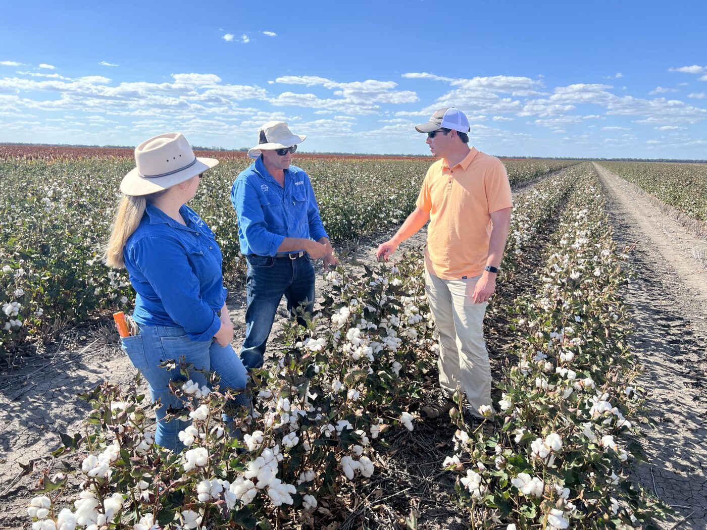 Extension Entomologist Scott Graham, right, and Paul Grundy of the Queensland Department of Primary Industries discuss Australian cotton pest management practices.