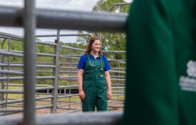 Kaleigh Backstrom in a cattle working pen.