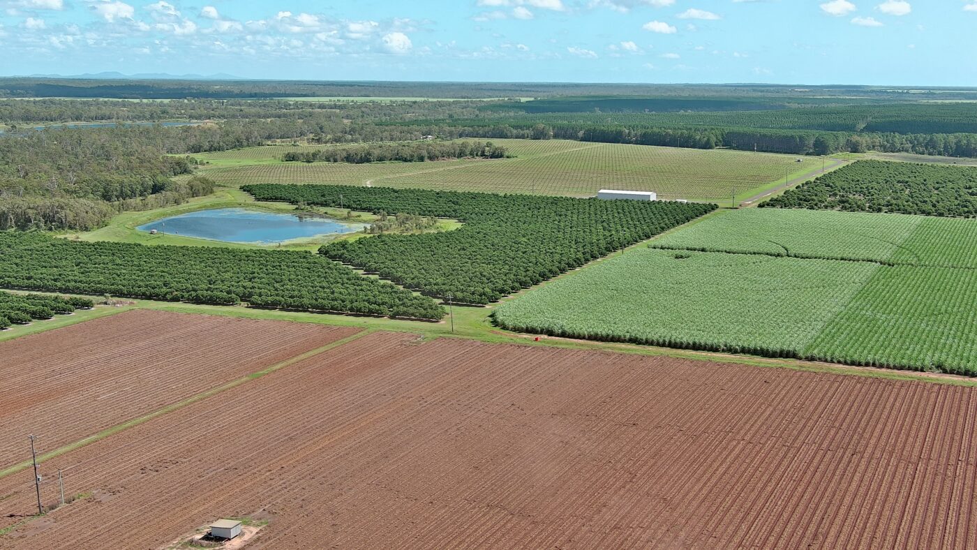 Queensland and Alabama share similar climates and similar soils. The Auburn team saw first-hand how the Australians use it for different crops, such as macadamia nuts and avocados.