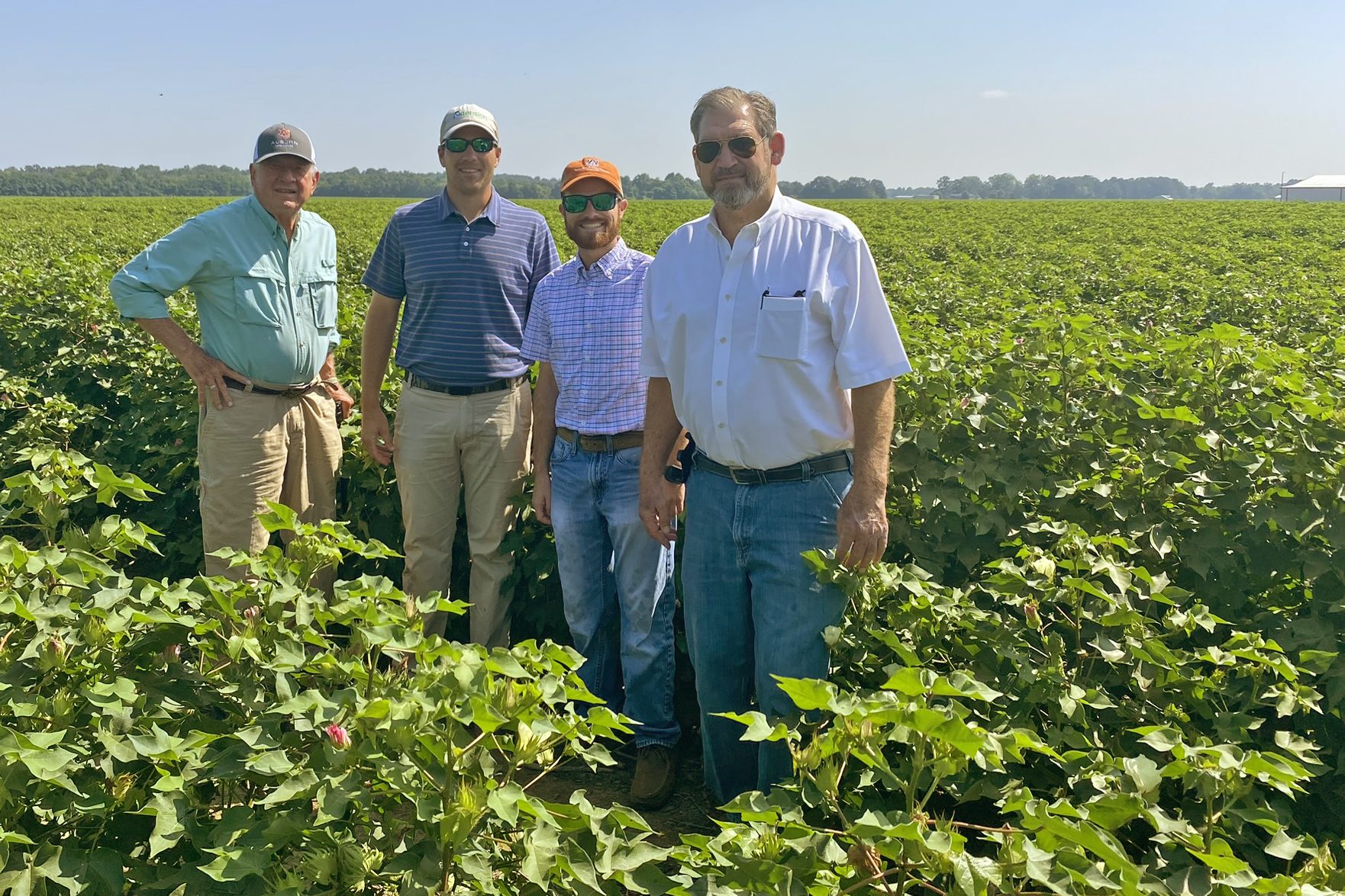 Ron Smith, Scott Graham, Josh Lee and Eddie McGriff standing in a cotton field.