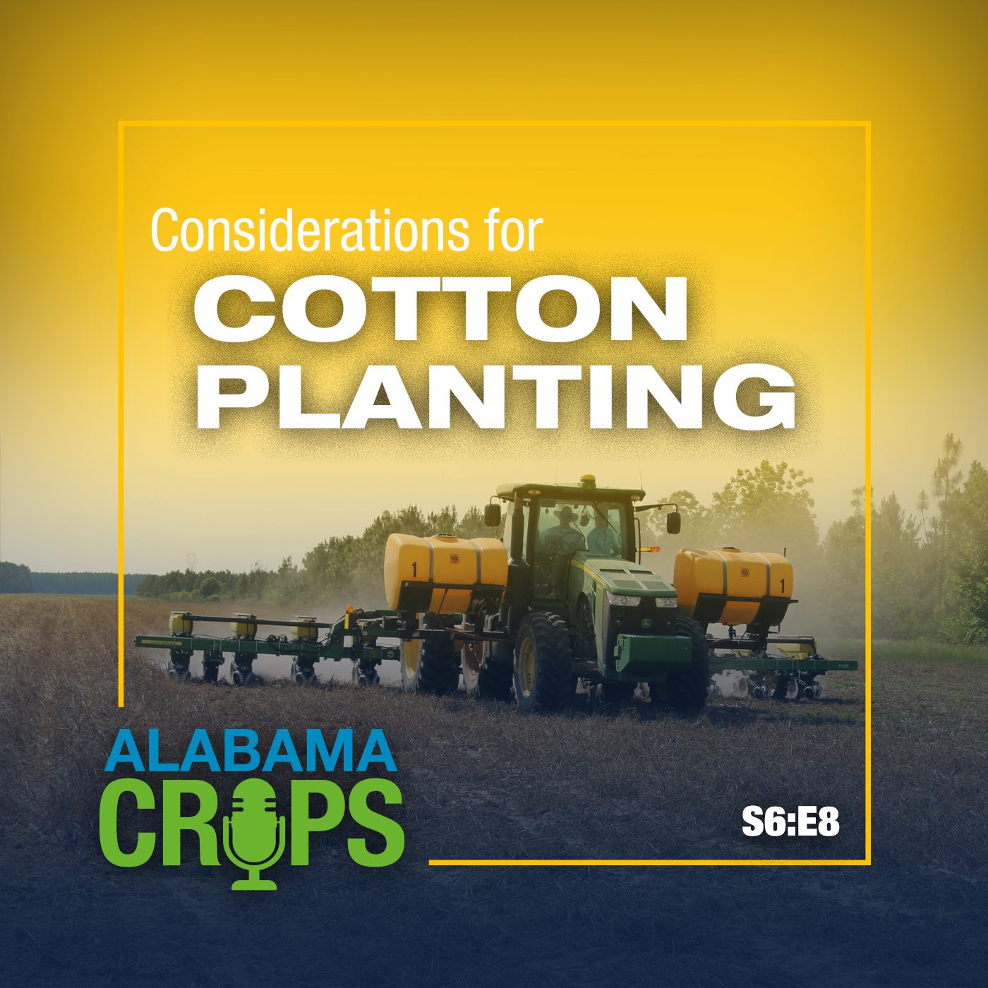 A graphic with the words Considerations for Cotton Planting and S6:E8. The background image is a planter planting cotton seed into a cover crop.