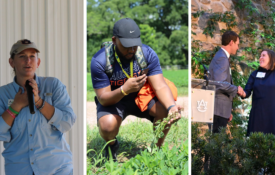 A photo collage of Court Green-Johnson, Kenneth Reese, and Kim Mullenix.
