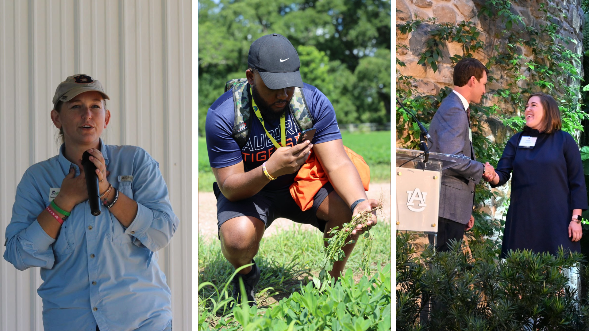 A photo collage of Court Green-Johnson, Kenneth Reese, and Kim Mullenix.