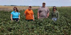 From left, Auburn graduate students Megan Woodall, Emma Wingfield, Sawyer Hopkins and Caitlyn Daniels stand in a cotton farm in Queensland, Australia.