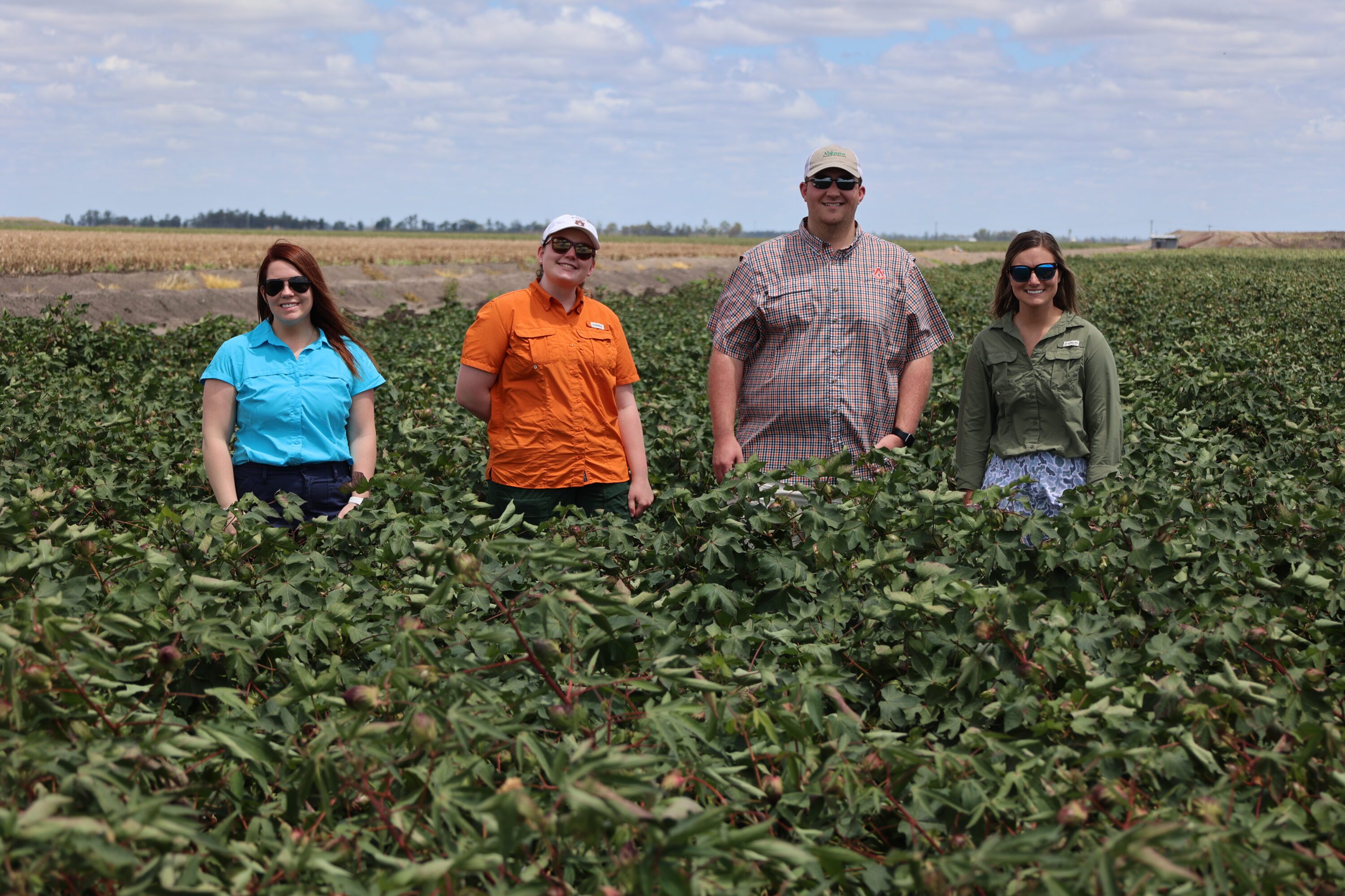 From left, Auburn graduate students Megan Woodall, Emma Wingfield, Sawyer Hopkins and Caitlyn Daniels stand in a cotton farm in Queensland, Australia.