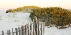 Sand dunes on a Gulf Shores beach.