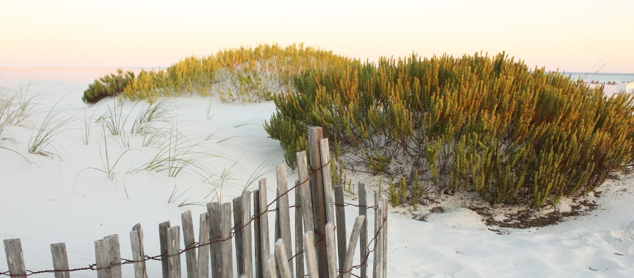 Sand dunes on a Gulf Shores beach.