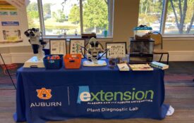 Figure 5. East Central Alabama Careers in Ag Expo