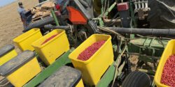 A peanut planter ready to plant in a field.