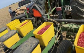 A peanut planter ready to plant in a field.