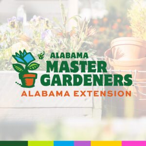 Alabama Extension Master Gardeners logo overtop an image of flower pots.