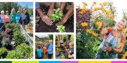 A collage of people gardening and planting.