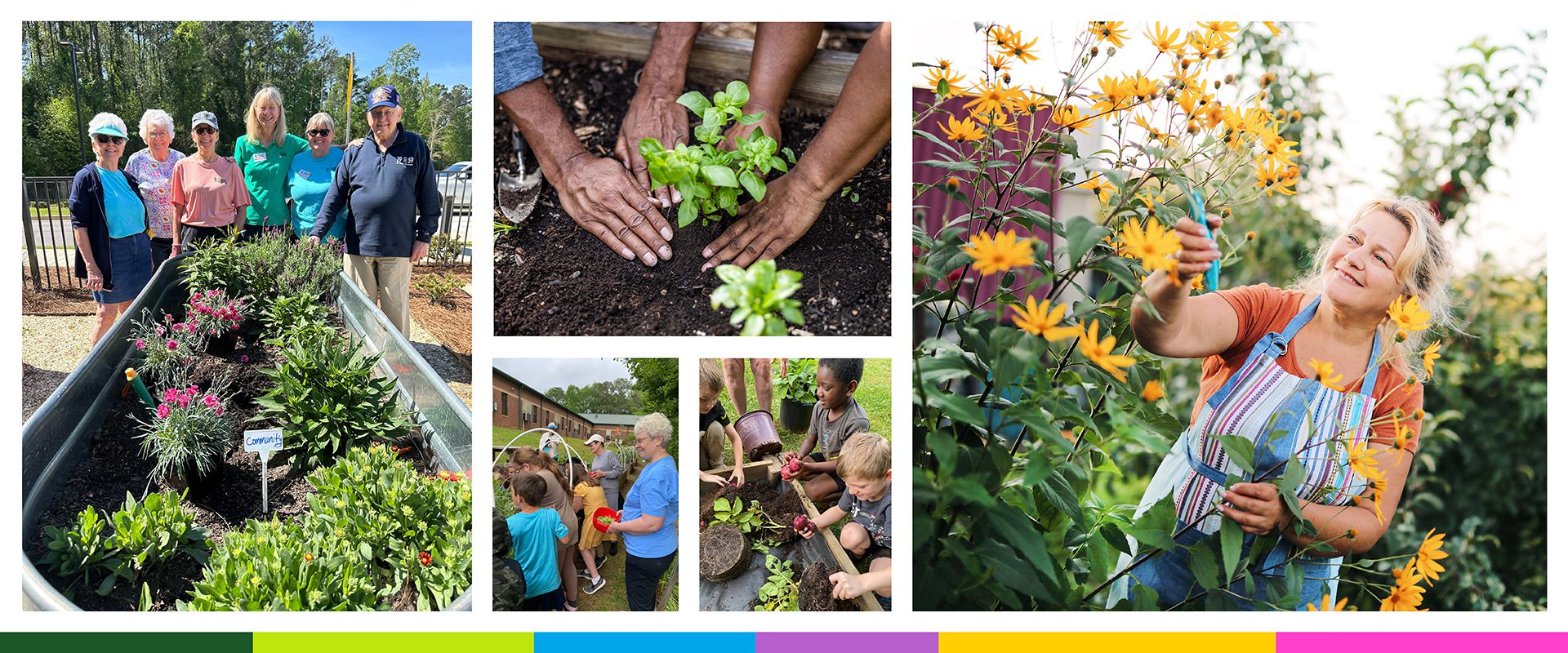 A collage of people gardening and planting.