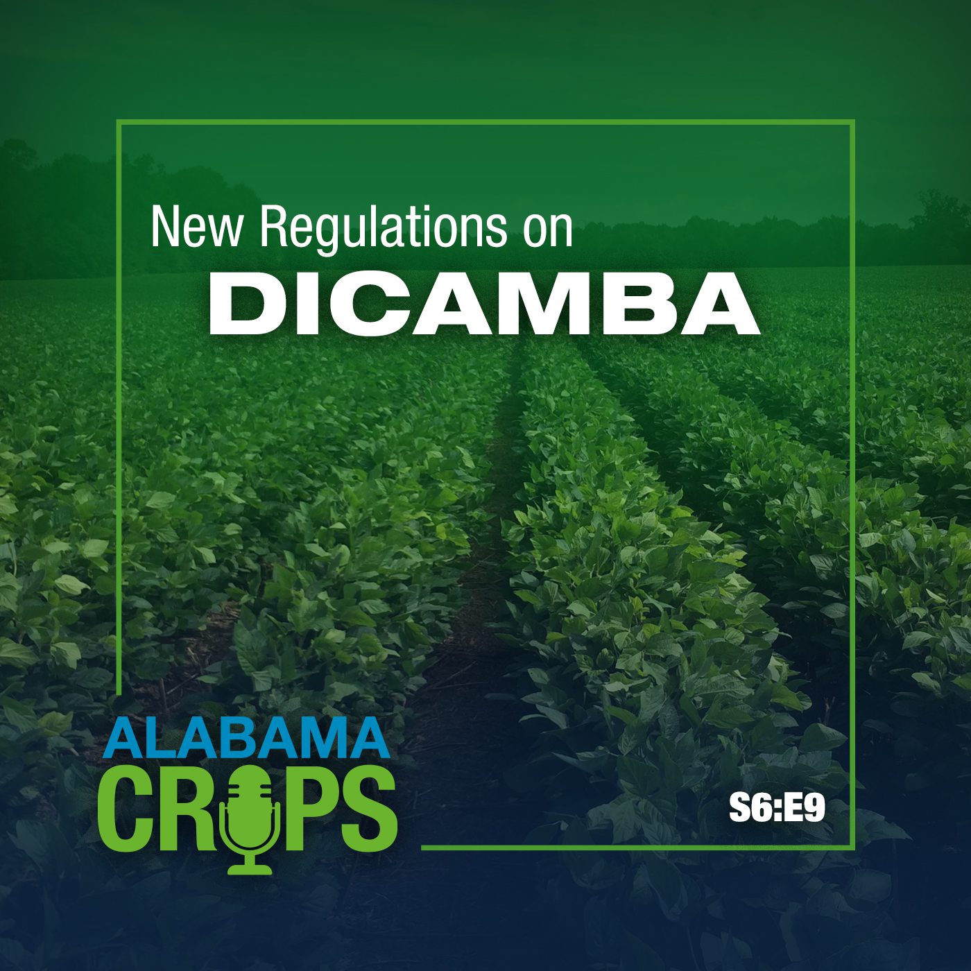 A graphic with the words New Regulations on Dicamba and S6:E9. The background is a soybean field.