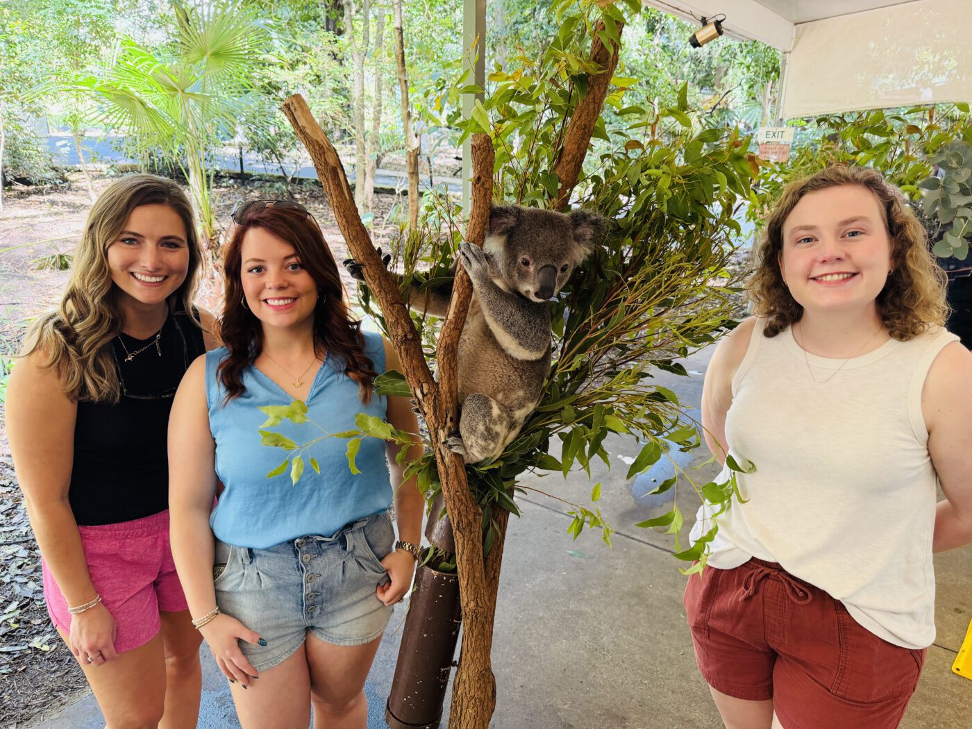 Up-close encounters with Australian culture and wildlife, including a koala, enriched the experience.