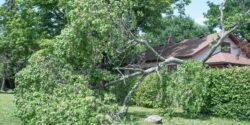 Large tree limb downed near house in a strong storm.
