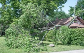 Large tree limb downed near house in a strong storm.
