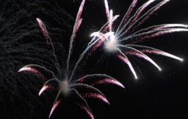 Two fireworks exploding in the night sky.