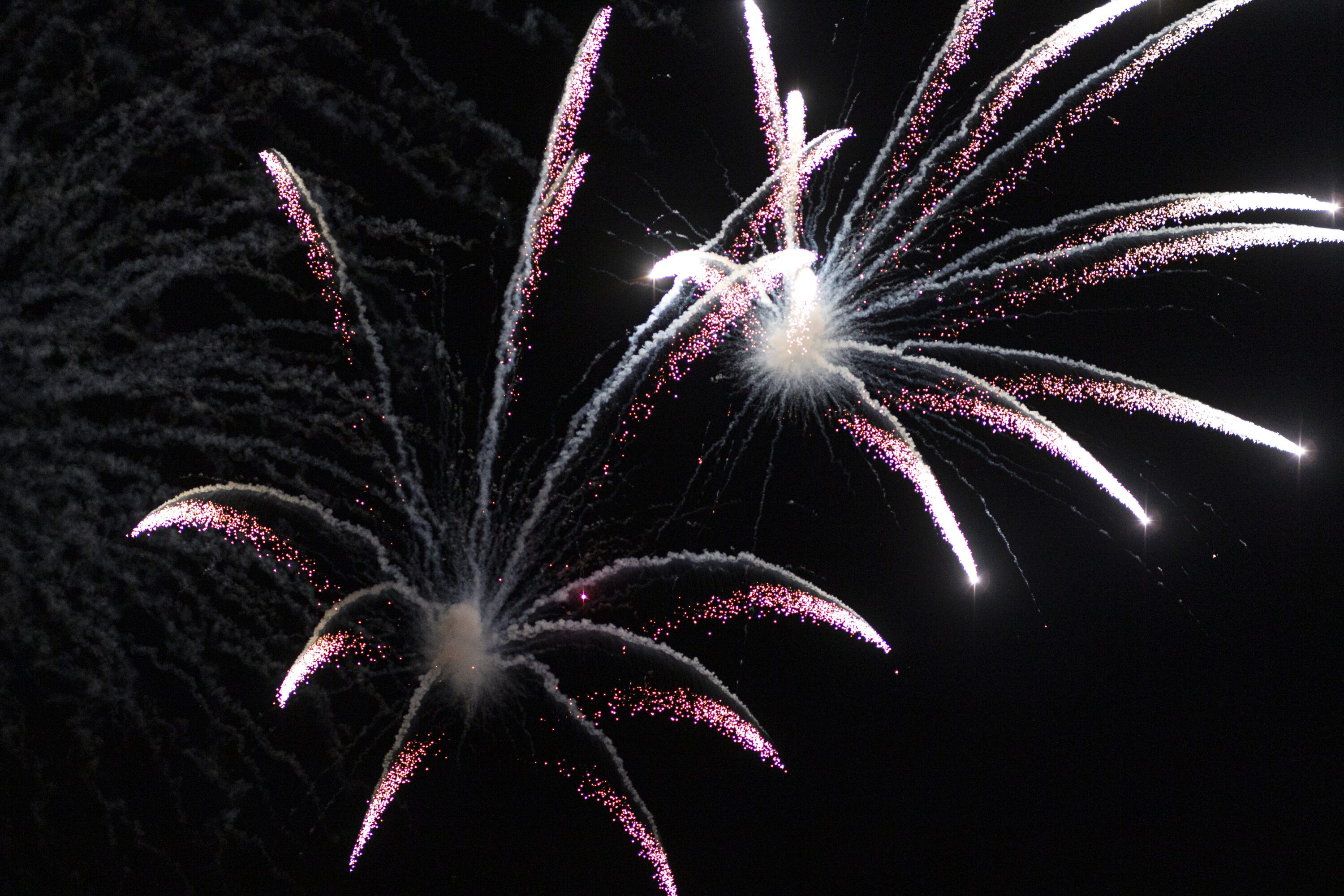 Two fireworks exploding in the night sky.