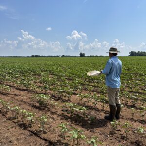 Figure 15. Sampling a field in central Alabama