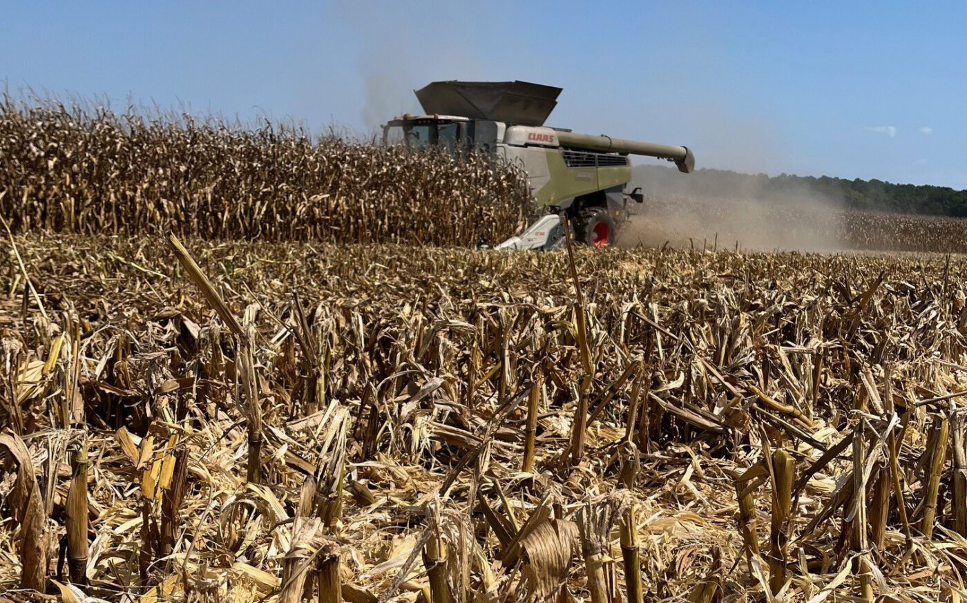 Figure 13. The all-time highest corn yield in Alabama (404.3021 bushels per acre) was produced in Limestone County.