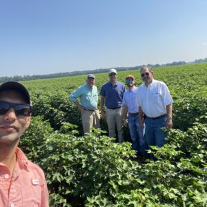Figure 6. Evaluating a cotton field in northeast Alabama