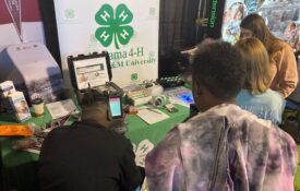 4-H exhibit