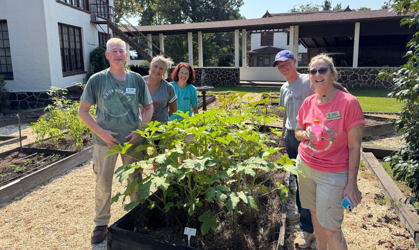 Group of people standing around a garden bed with plants in it.