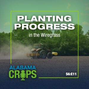 A graphic with the words Planting Progress in the Wiregrass and S6:E11. The background image is a planter moving through a fallow field.
