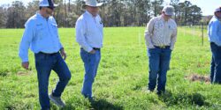 Max Runge, Extension professor, meets with Bob Plaster, Assistant Commissioner of the Alabama Department of Agriculture and Industries, and Trey Haddon, graduate research assistant in Animal Sciences at Auburn University.