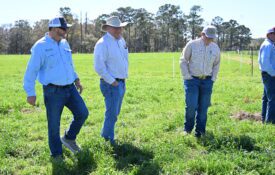 Max Runge, Extension professor, meets with Bob Plaster, Assistant Commissioner of the Alabama Department of Agriculture and Industries, and Trey Haddon, graduate research assistant in Animal Sciences at Auburn University.