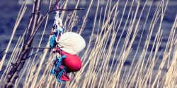 Deflated balloons used earlier in a balloon release, resting as litter in seagrass on a beach with water in the background.