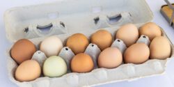 A carton of backyard eggs at a farmers market