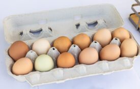 A carton of backyard eggs at a farmers market