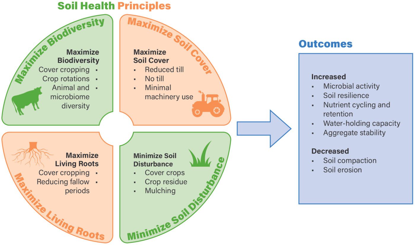 Figure 1. Principles of soil health and their functions in the soil ecosystem