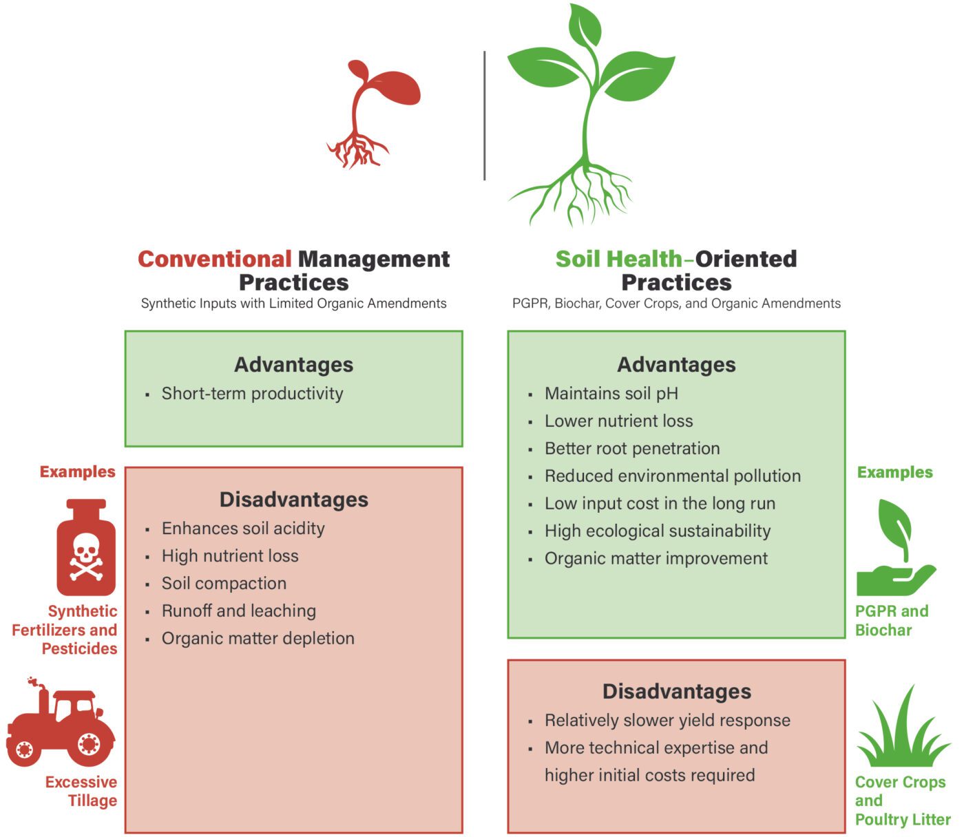 Figure 2. Illustration comparing the advantages of integrated sustainable practices over conventional methods