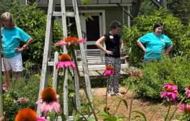 People looking at pollinator plant in a garden.