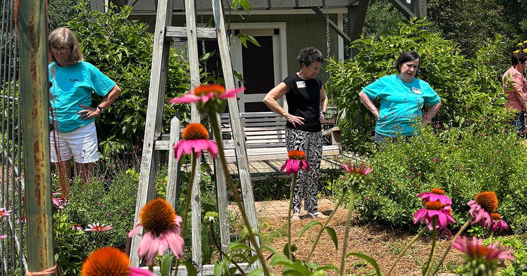People looking at pollinator plant in a garden.