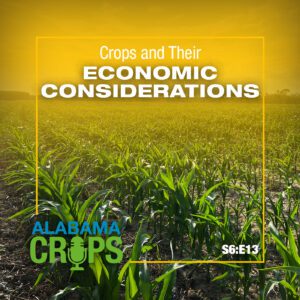 crops and their economic considerations with the Alabama Crops Podcast logo, an image of corn crop, and S6, E13